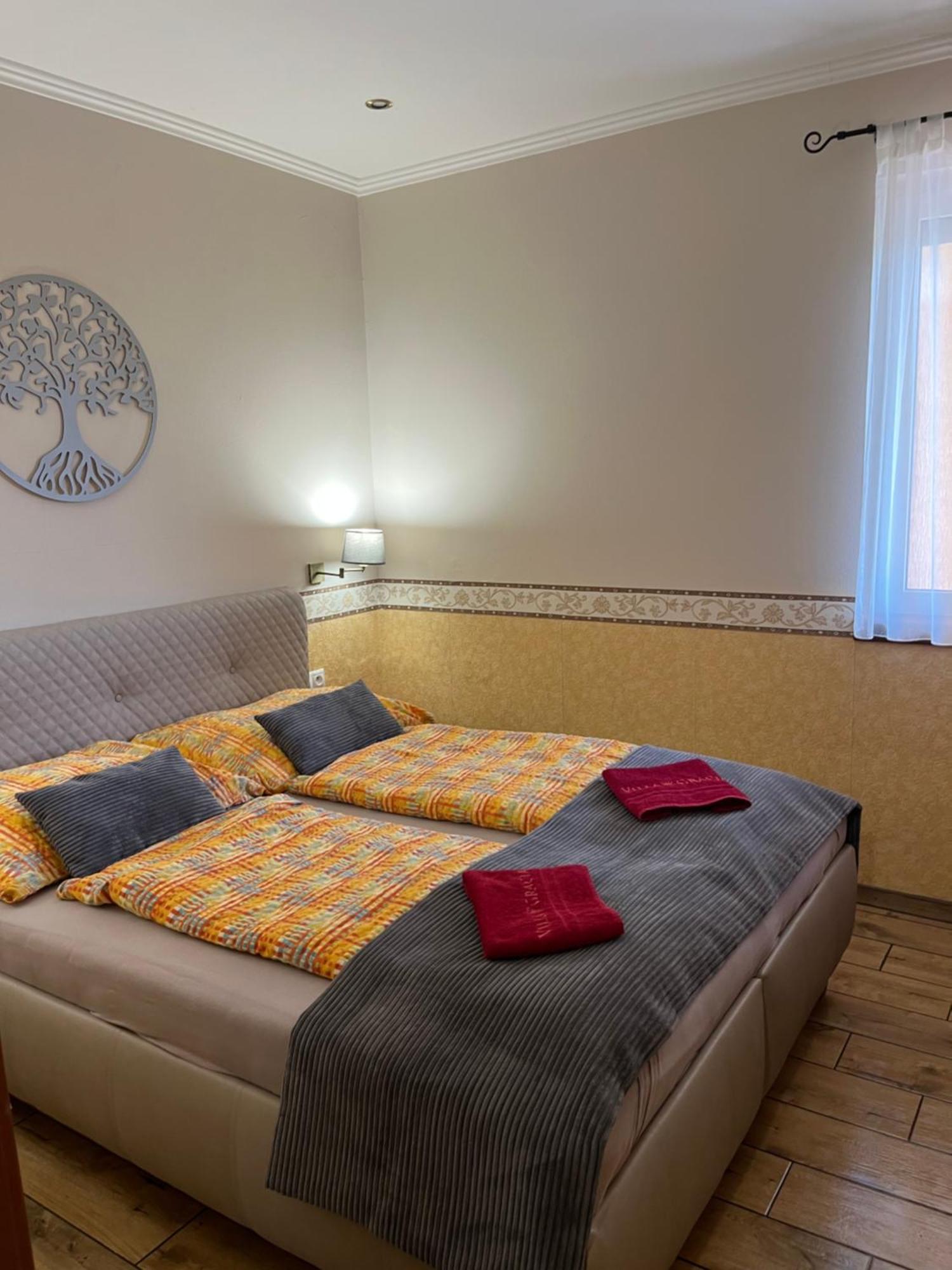 Villa Gracia Патинце Екстериор снимка